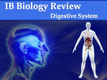 Digestive System IB Biology Review What are the components