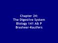Chapter 24:  The Digestive System Biology 141 A& P Brashear-Kaulfers PowerPoint PPT Presentation