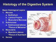 Histology of the Digestive System