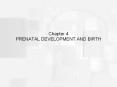Chapter 4 PRENATAL DEVELOPMENT AND BIRTH PowerPoint PPT Presentation