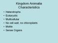 Kingdom Animalia Characteristics PowerPoint PPT Presentation