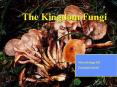 FUNGI PowerPoint PPT Presentation
