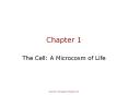 The Cell: A Microcosm of Life PowerPoint PPT Presentation