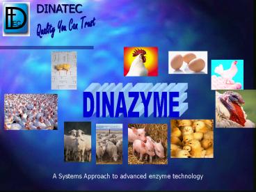 Dinazyme C/S PBM