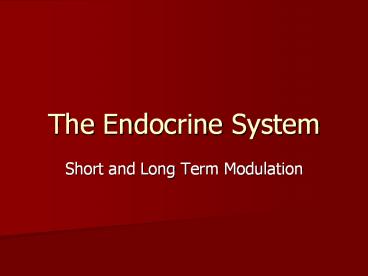 The Endocrine System Short and Long Term Modulation Lecture