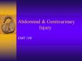 Abdominal & Genitourinary         Injury PowerPoint PPT Presentation