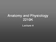 Anatomy and Physiology 2210K Lecture 4 Slide 2   Long bone PowerPoint PPT Presentation