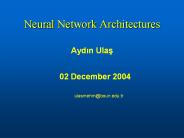 Neural Network Architectures