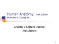 Human Anatomy, First Edition McKinley & O'Loughlin PowerPoint PPT Presentation
