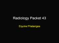 Radiology Packet 43 PowerPoint PPT Presentation
