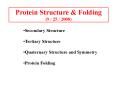 Protein Structure PowerPoint PPT Presentation
