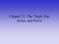 Chapter 21: The Thigh, Hip, Groin, and Pelvis PowerPoint PPT Presentation