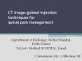 CT Image-guided injection techniques for spinal pain management PowerPoint PPT Presentation