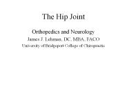 The Hip Joint