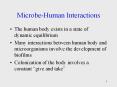 Microbe-Human Interactions PowerPoint PPT Presentation