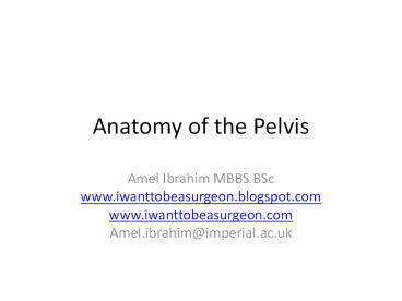 presentation player overlay