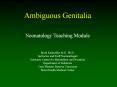 Ambiguous Genitalia PowerPoint PPT Presentation