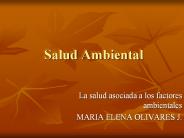 Salud Ambiental