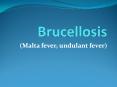 Brucellosis PowerPoint PPT Presentation
