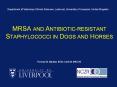 MRSA AND ANTIBIOTIC-RESISTANT STAPHYLOCOCCI IN DOGS AND HORSES PowerPoint PPT Presentation