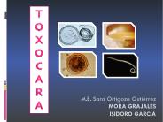 Diapositiva 1
