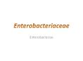 Enterobacteriaceae PowerPoint PPT Presentation