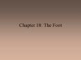 Chapter 18: The Foot PowerPoint PPT Presentation