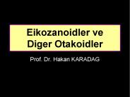 Eikozanoidler ve Diger Otakoidler