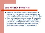 Life of a Red Blood Cell