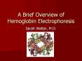 A Brief Overview of Hemoglobin Electrophoresis PowerPoint PPT Presentation