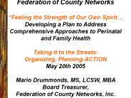 Federation of County Networks