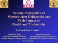 National Perspective on Micronutrient Deficiencies and Their Impact on Health and Productivity PowerPoint PPT Presentation