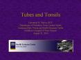 Tubes and Tonsils PowerPoint PPT Presentation