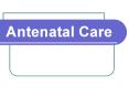 Antenatal Care Definition of Antenatal care comprehensive PowerPoint PPT Presentation