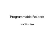 Programmable Routers