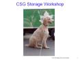 CSG Storage Workshop PowerPoint PPT Presentation