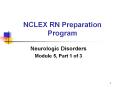 NCLEX RN Preparation Program PowerPoint PPT Presentation