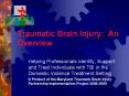 Traumatic Brain Injury: An Overview PowerPoint PPT Presentation