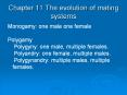 Chapter 11 The evolution of mating systems PowerPoint PPT Presentation