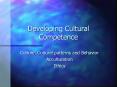 Developing Cultural Competence PowerPoint PPT Presentation