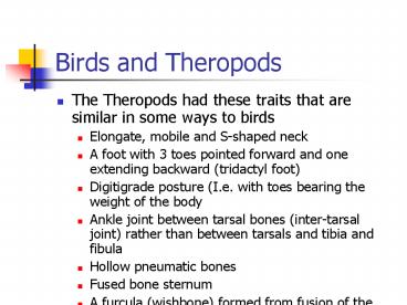 Birds and Theropods