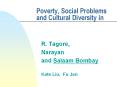 Poverty, Social Problems and Cultural Diversity in PowerPoint PPT Presentation