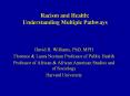 Racism and Health: Understanding Multiple Pathways PowerPoint PPT Presentation