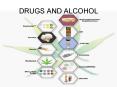 DRUGS AND ALCOHOL PowerPoint PPT Presentation