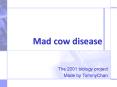 Mad cow disease PowerPoint PPT Presentation