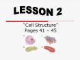Cell Structure Pages 41 – 45 PowerPoint PPT Presentation