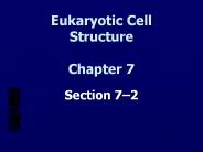 Eukaryotic Cell Structure Chapter 7