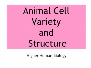 Animal Cell Variety and  Structure