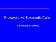 Prokayotic vs Eukaryotic Cells