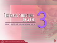 Chapter 3 The Basic Structure of a Cell